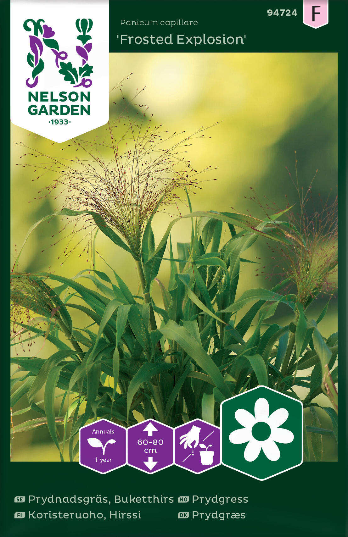 Prydnadsgräs 'Frosted Explosion'